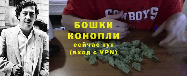 стаф Богданович