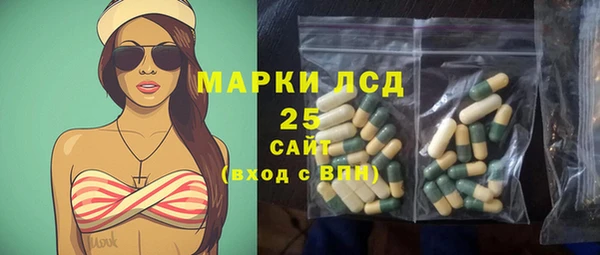стаф Богданович