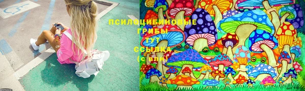прущая мука Богородск
