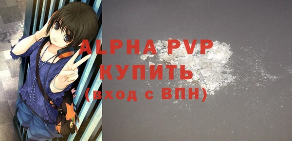 стаф Богданович