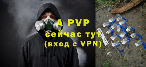 стаф Богданович