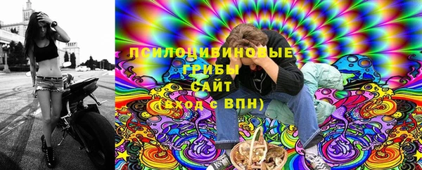 прущая мука Богородск