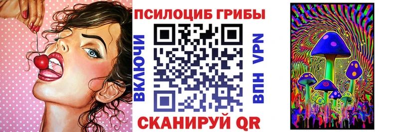 купить наркоту  Медынь  Псилоцибиновые грибы прущие грибы 